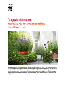 Des jardins luxuriants pour ceux qui possèdent un balcon