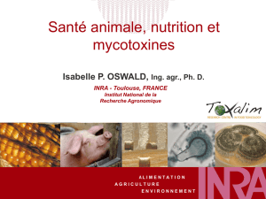 Santé animale, nutrition et mycotoxines