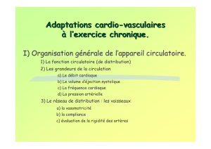 Adaptations cardio-vasculaires à l`exercice chronique.