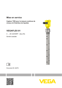 Mise en service - VEGAFLEX 81 - 4 … 20 mA/HART