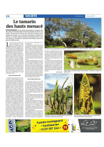 JIR_2016_08_08_Psylles - Espèces Invasives Réunion