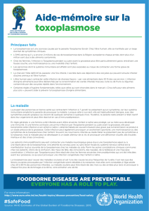 Toxoplasmosis Fact Sheet