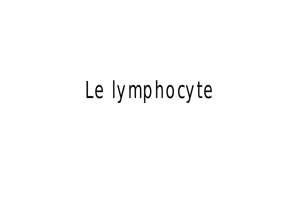 Le lymphocyte