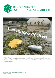 Les macro-déchets - Réserve naturelle baie de saint brieuc