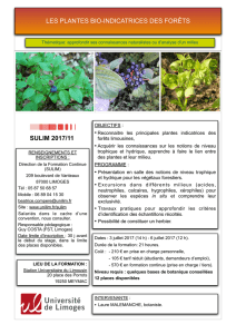 SULIM2017/11 plantes bio indicatrices forêt