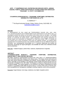 cylindrocladium buxicola : taxonomie, symptomes