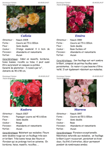 Catalogue Paysagers 2015-2016 - rosier