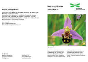 Orchidées - La Libellule