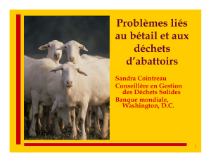 Problèmes liés au bétail et aux déchets d`abattoirs