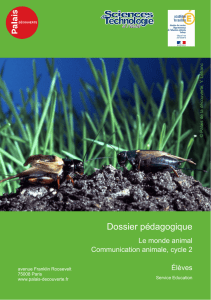 Parcours élèves - Communication animale – CP à CE1 (pdf, 1.6 Mo)