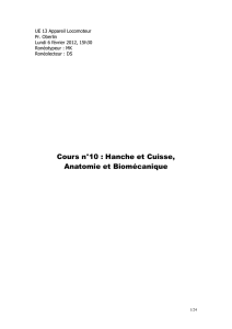 Cours n°10 : Hanche et Cuisse, Anatomie et Biomécanique