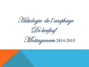 Histologie de l`œsophage Dr kerfouf Mostaganem 2014-2015