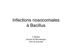 Infections nosocomiales à bacillus en néonatologie