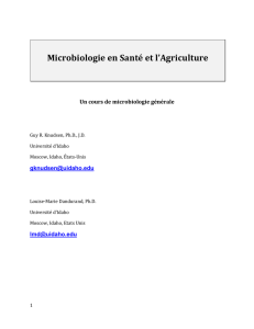 Microbiologie en Santé et l`Agriculture
