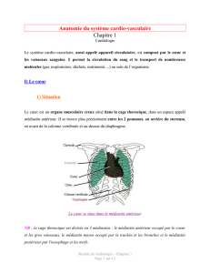 Anatomie du système cardio-vasculaire Chapitre 1
