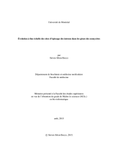 Bocco_Steven_2015_memoire - Papyrus : Université de Montréal
