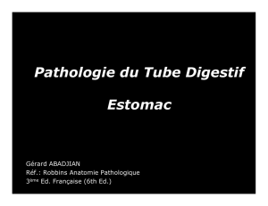 Pathologie du Tube Digestif Estomac