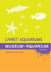 les aquariums - Museum Aquarium de Nancy