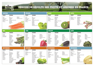 périoDe De récoLte Des Fruits et Légumes en France