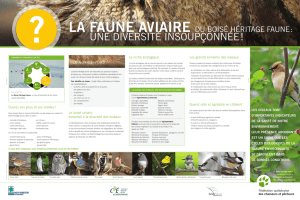 La faune aviaire - Fondation de la faune du Québec