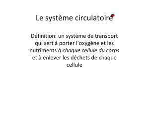Systeme circulatoire - hrsbstaff.ednet.ns.ca
