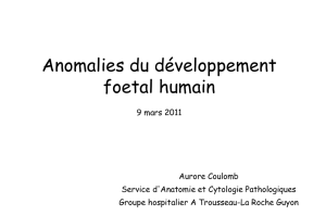 Anomalies du developpement foetal 2011