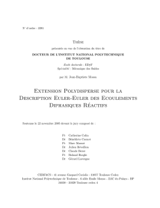 Extension polydisperse pour la description Euler