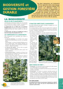 Biodiversité et gestion forestière durable