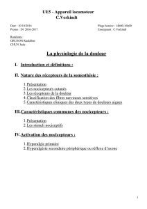 d1-ue5-verkindt-physiologie_de_la_douleur-10-10-16-pdf