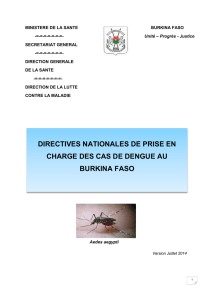 directives_pec_dengue_version_du_21_juillet ( PDF