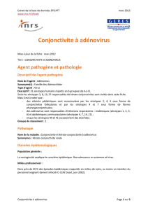 Conjonctivite à adénovirus