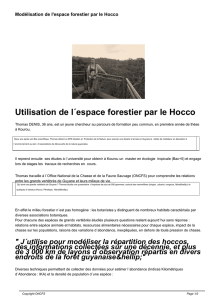 Modélisation de l`espace forestier par le Hocco