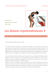 Les lésions myotendineuses des muscles ischio
