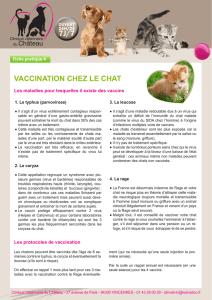 vaccination chez le chat - CLINIQUE VETERINAIRE DU CHÂTEAU