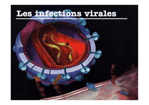 C4 Infection virales 2° année 2017