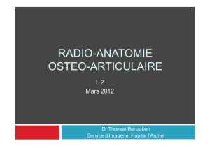radio-anatomie osteo-articulaire