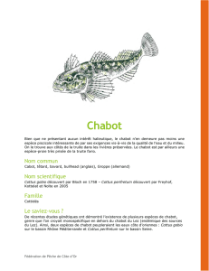 Chabot - Fédération de Pêche de Côte-d`Or