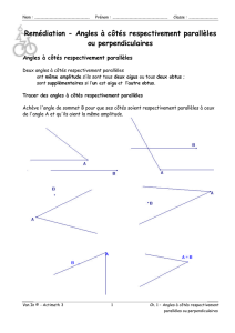 Remédiation - Angles à côtés respectivement parallèles ou