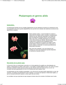 ==== Orchidouxdingues ====€ Culture des Phalaenopsis