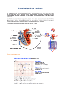 Rappels physiologie cardiaque