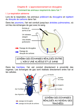 Chapitre A2 : Les échanges Gazeux Chez Les êtres Vivants