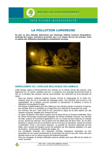 La pollution lumineuse - Bruxelles Environnement
