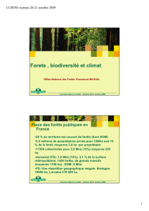 Forêts et biodiversité