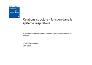 Relations structure - fonction dans le système respiratoire