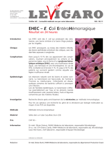 EHEC – E. Coli EntéroHémorragique