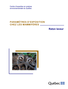 Paramètres d`exposition chez les mammifères – Raton laveu