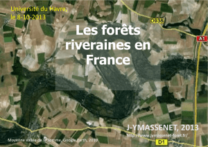 Les forêts riveraines en France - Jean