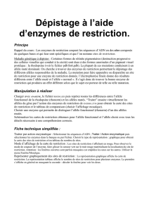 Dépistage à l`aide d`enzymes de restriction.