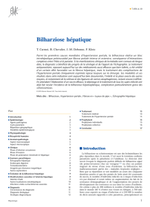 Bilharziose hépatique
