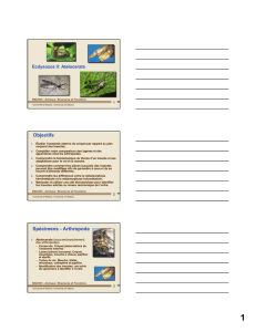 Objectifs Spécimens - Arthropoda